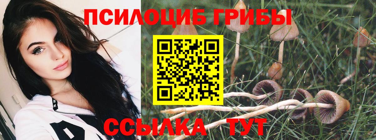 Галлюциногенные грибы Psilocybine cubensis Керчь