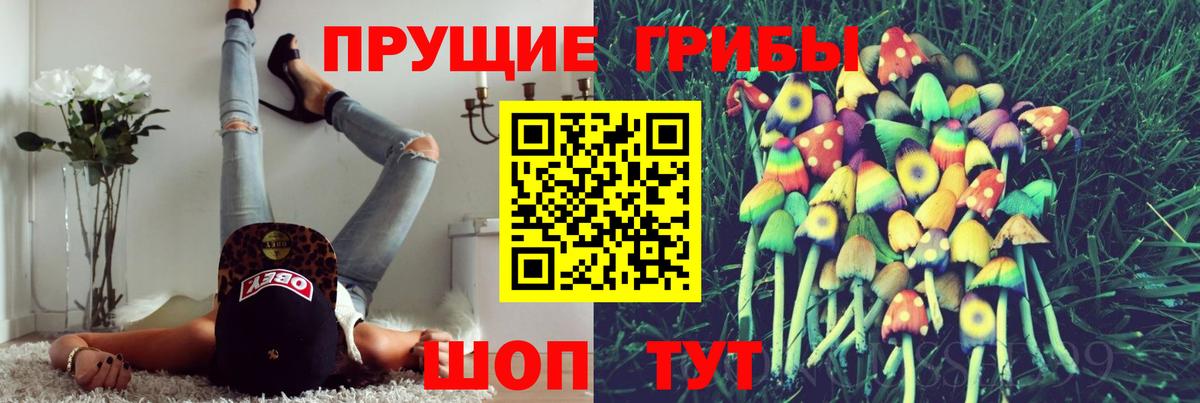 Галлюциногенные грибы ЛСД  Вход с VPN  купить наркотик  Керчь 